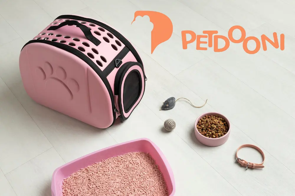 مناسب‌ترین خاک برای گربه | راهنمای خرید بهترین خاک گربه در پت دونی 1404